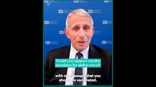 Fauci: I Would Support Vaccine Mandates For Travel