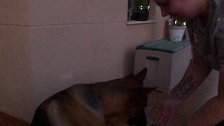 Dog runs away with raw egg during training session
