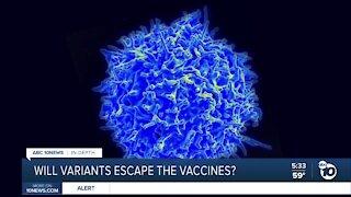 In-depth: Will variants escape COVID-19 vaccines?