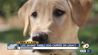 Family clones beloved dog they credit with saving their lives