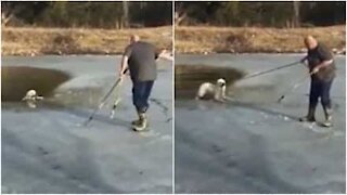 Smart hund biter fast i et tau for å redde seg fra frossen innsjø