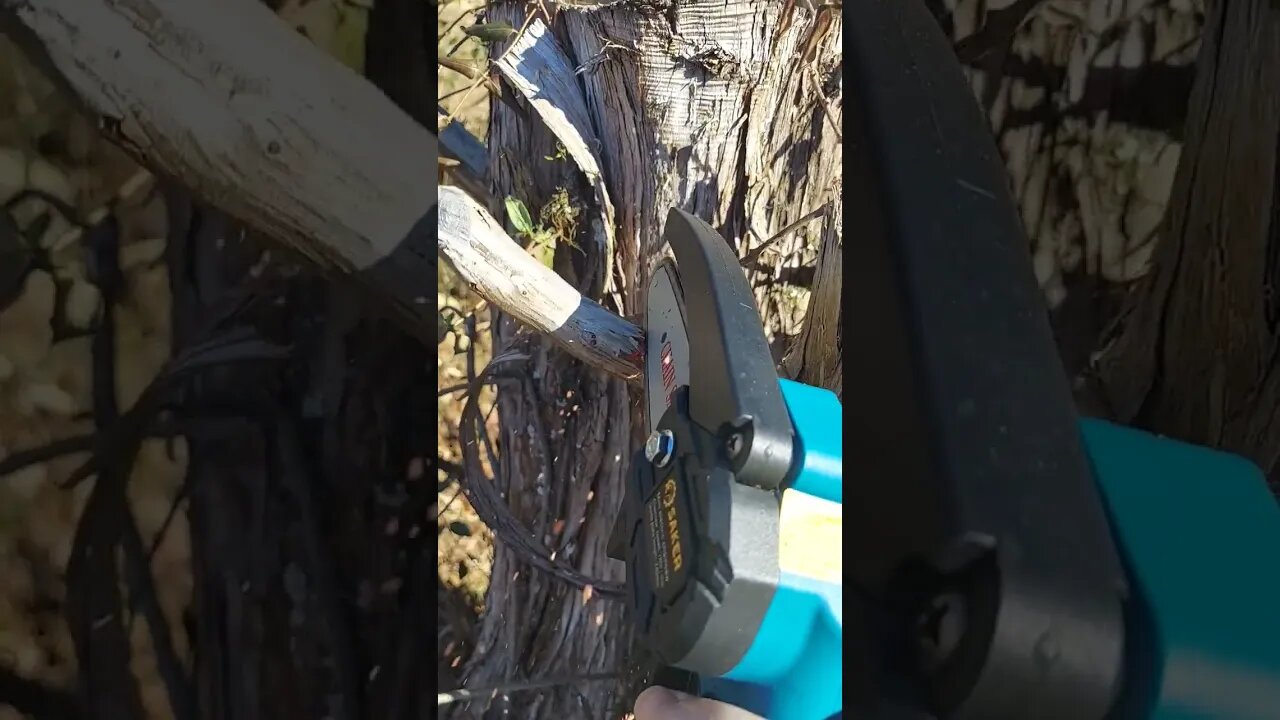 Saker Mini Chainsaw