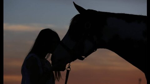 A Horse Love