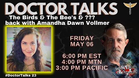 DoctorTalks #23: The Birds & The Bee's with Amandha Vollmer