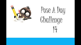 Pose A Day Challenge 14
