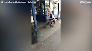 Woman pushes stroller while riding Segway