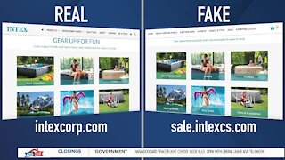 12 Scams of Christmas: Fake Websites