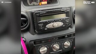 Jovem esconde rádio do carro de forma única