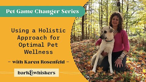 Using a Holistic Approach for Optimal Pet Wellness With Karen Rosenfeld