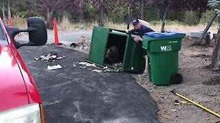 Heroic firefighter releases bear cubs trapped inside a dumpster