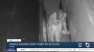 Video may show Santee serial gas thief