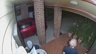 Burglars are chased off by small dog