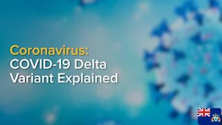 The COVID-19 Delta Variant Explained