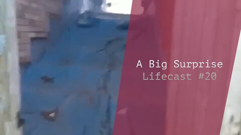 A Big Surprise | Lifecast #20