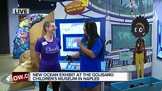 New ocean exhibit at the Golisano Children's Museum in Naples