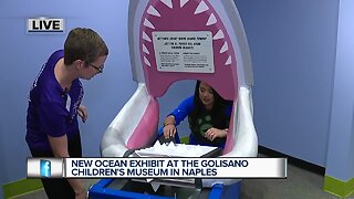 Learning about oceans at Children's Museum of Naples at Wild Kratts ocean exhibit