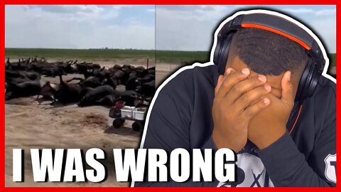 I WAS WRONG! FULL TRUTH About the Cattle