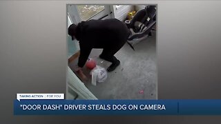 Door Dash driver caught on camera stealing puppy during delivery