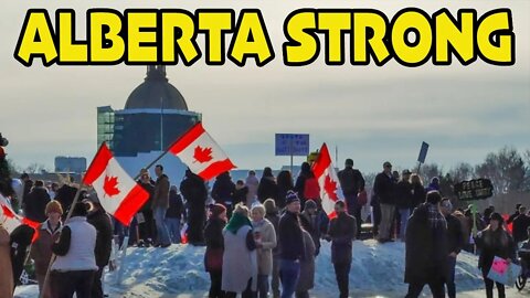 🇨🇦ALBERTA PROTEST 🇨🇦 *STRENGTH IN NUMBERS*