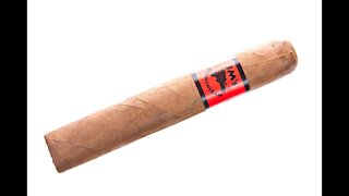 JMs Dominican Corojo Robusto Cigar Review