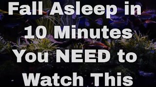 best sleeping videos
