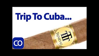 Cuban Trinidad Reyes Cigar Review