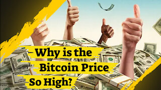 Why Is The Bitcoin Price So High?