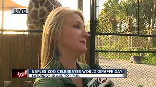 Naples Zoo to celebrate World Giraffe Day on Saturday