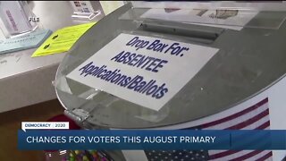 Changes for voters this August primary in Michigan