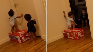 Genius babies use teamwork to open door