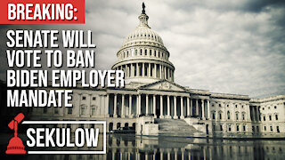BREAKING: Senate Will Vote to Ban Biden Employer Mandate