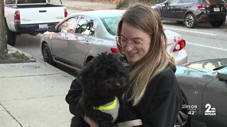‘I’m never letting him go’: Stolen dog reunited with owner in Charles Village