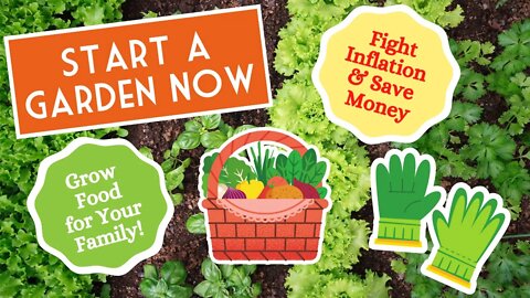 DON'T WAIT! It's time to start your garden NOW! Lower your grocery bill by growing your own food!