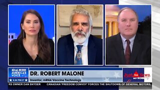 Dr. Robert Malone on the Military Vaccine Database