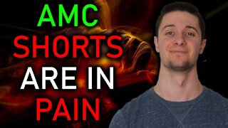 AMC Stock SHORTS JUST LOST TODAY | SQUEEZE POTENTIAL EXPLAINED