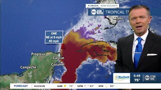 Tropical storm warnings issued locally