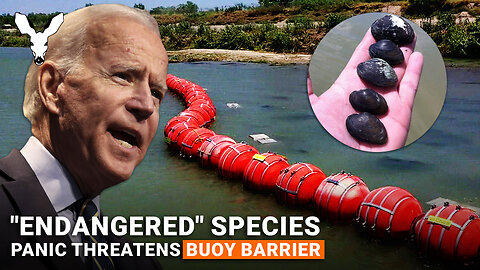 Traitor Joe Tries Snail Darter Ploy To Bring Down Buoy Barrier | VDARE VIDEO BULLETIN