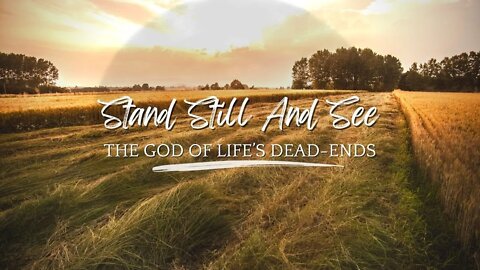 Stand Still And See The God Of Life's Dead Ends