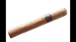 Rocky Patel Gold Robusto Cigar Review