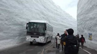 Giappone: il canyon ghiacciato che incanta il mondo intero
