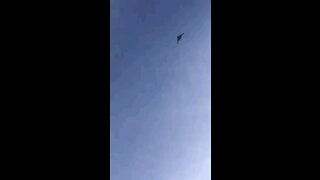 US MILITARY STEALTH BOMBER TAKES FLIGHT