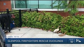 Glenpool firefighters rescue ducklings