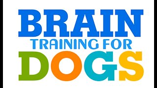 Learn to Train your dog like a pro! Brain Training for Dogs - Turn Your Dog into a Genius!