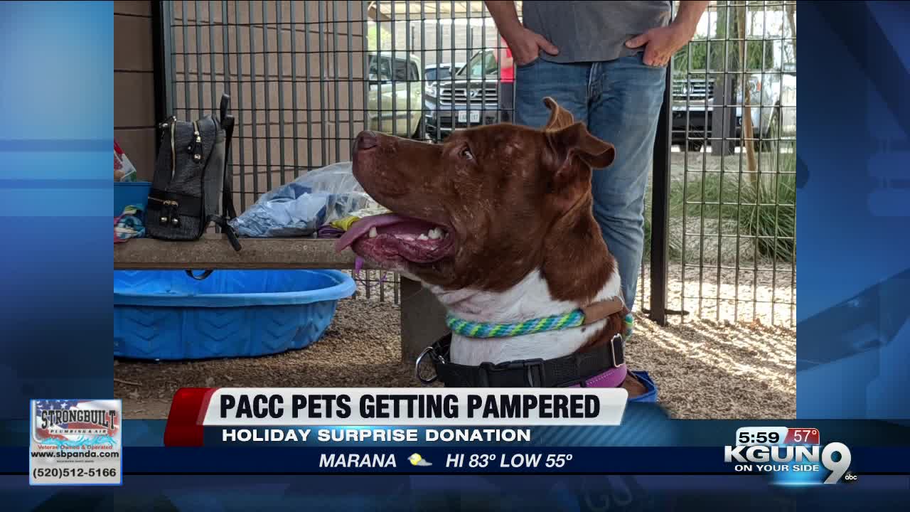 https://www.kgun9.com/news/local-news/tucson-shelter-pets-get-pampered-early-treats-for-the-holiday