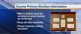 County primary election information