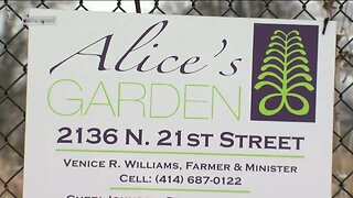Alice's Garden: Farmers Market helping small businesses continue sales