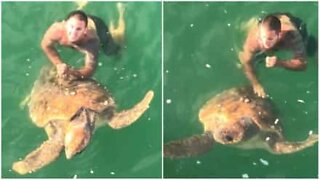 Giant turtle rescued after being stuck on a fishing hook