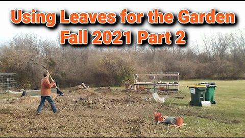 Using Leaves for the Garden Fall 2021 Part 2
