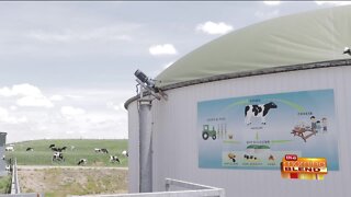 A Wisconsin Dairy Farm Using Green Energy for Sustainability