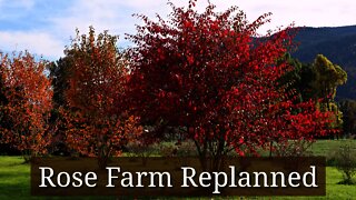 Rose Farm Redesign & Garden Planning